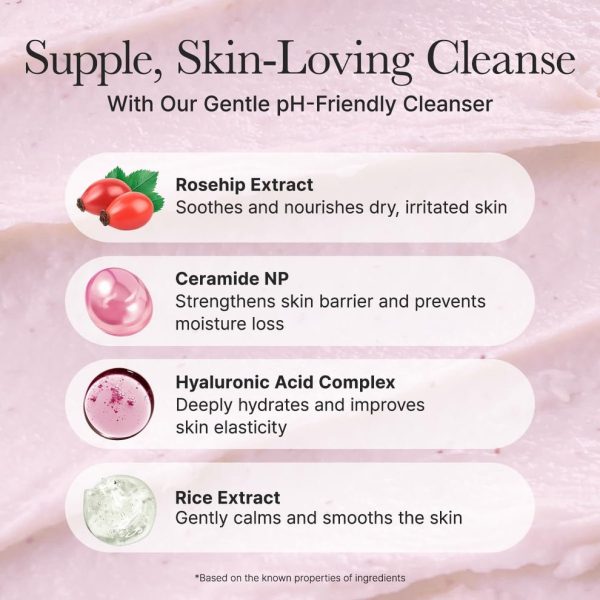 2026/05/1000157553.jpg Arencia Rosehip Mild PH Balancing Rice Cake Cleanser 150g